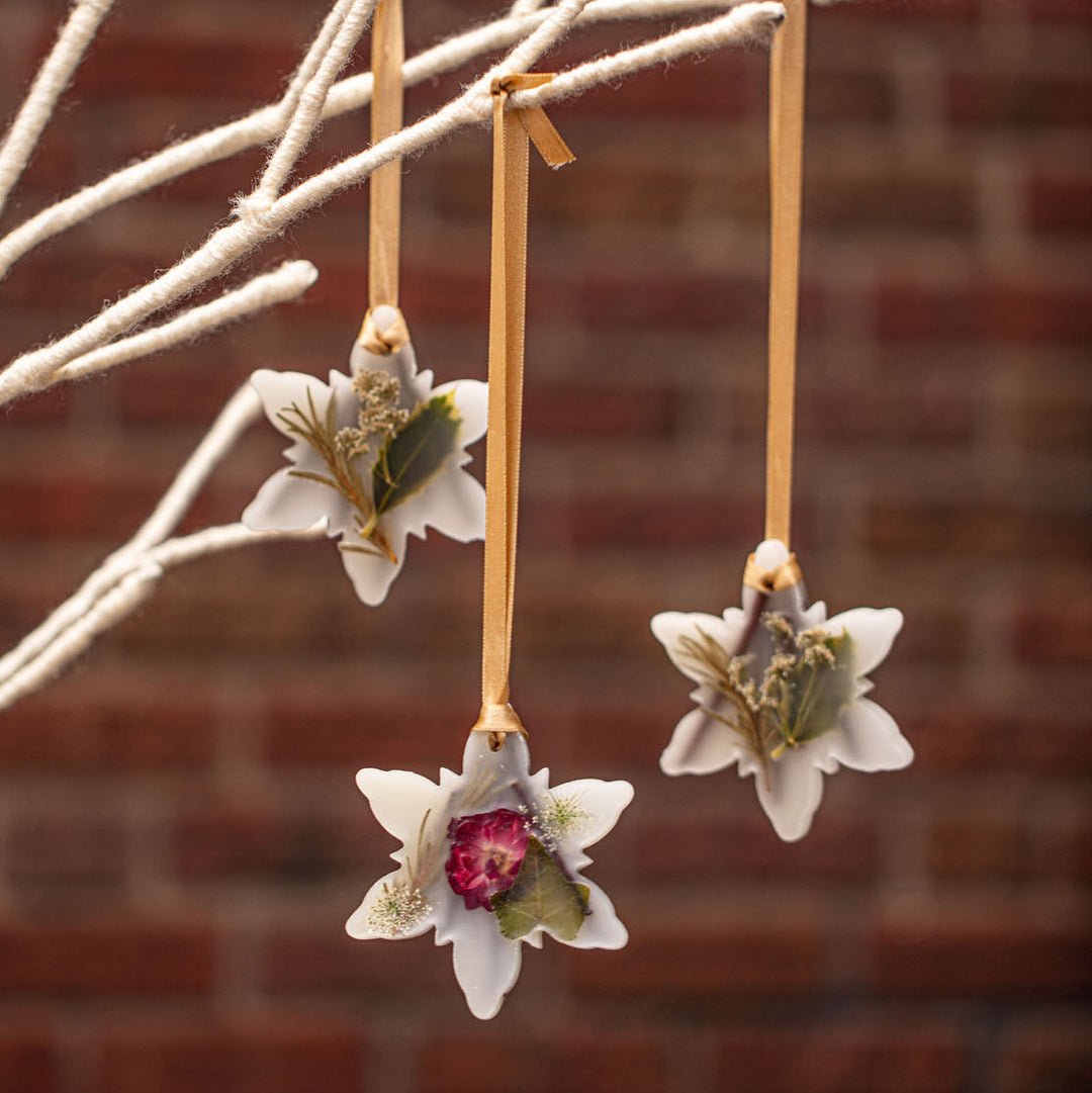 Rosy Rings : Quand l’artisanat illumine vos intérieurs