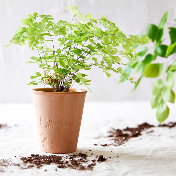 Candela Garden Pot Vite di Pomodoro + Copertura Antipolvere in Carta Seminabile